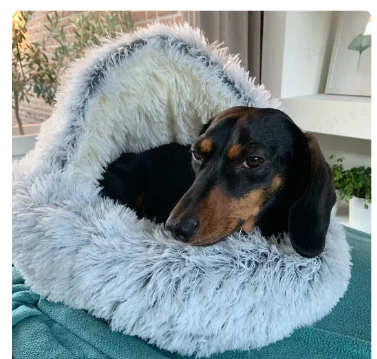 2-in-1 Cozy Cave Pet Bed